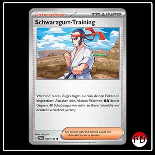 Schwarzgurt-Training