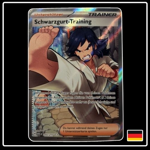 Schwarzgurt-Training Trainer Full Art 255/217 Pokemon Erhabene Helden