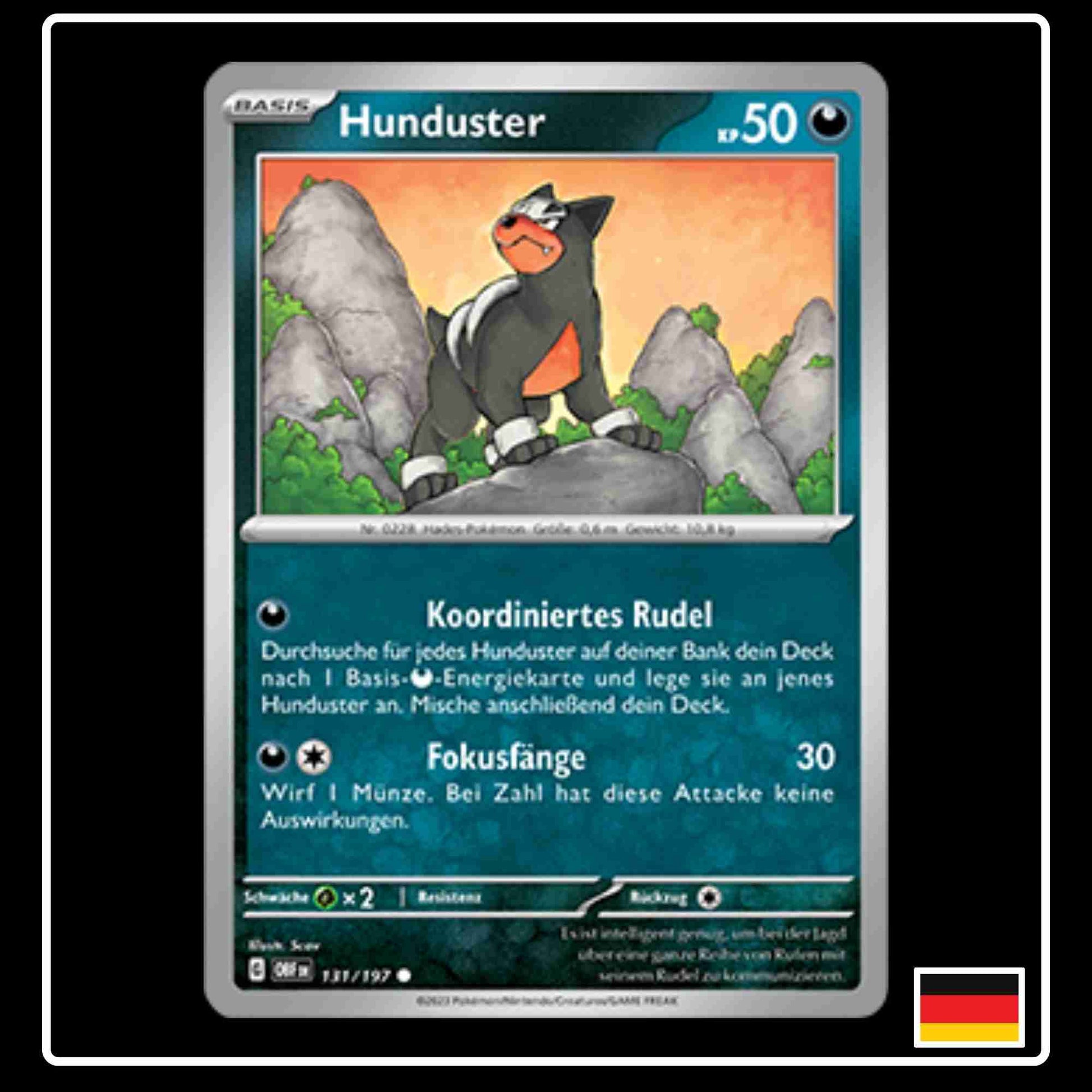 Pokemon Karte Hunduster