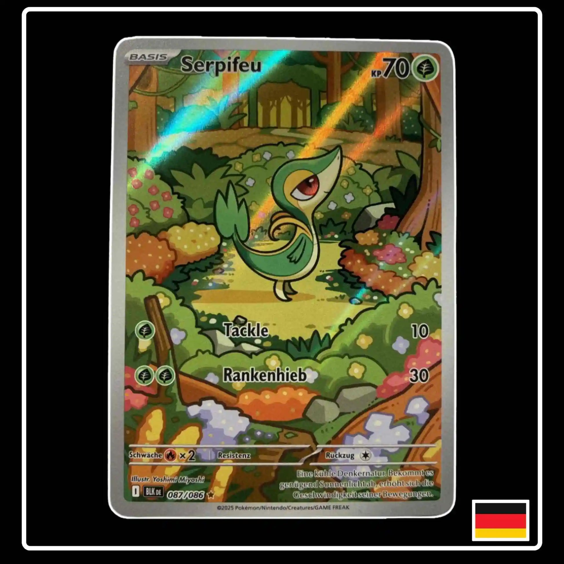 Serpifeu Illustration Rare 087/086 Pokemon Schwarze Blitze
