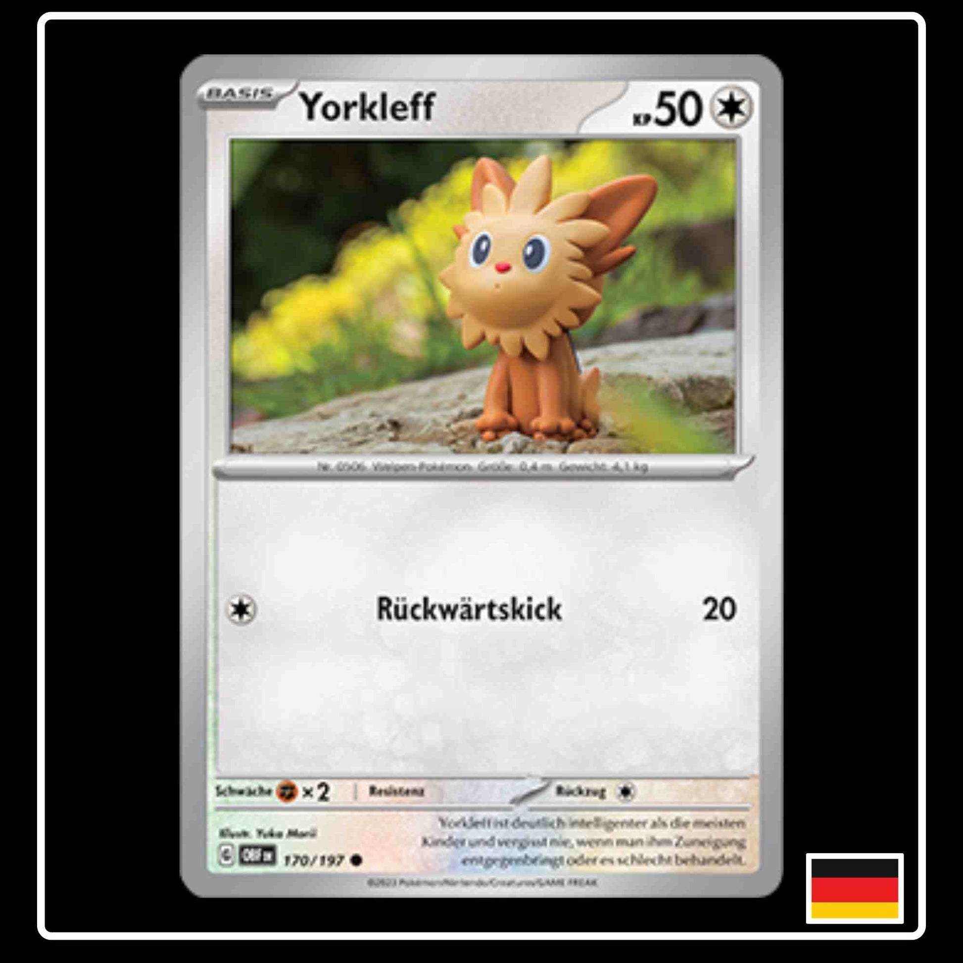 Pokemon Karte Yorkleff 170/197